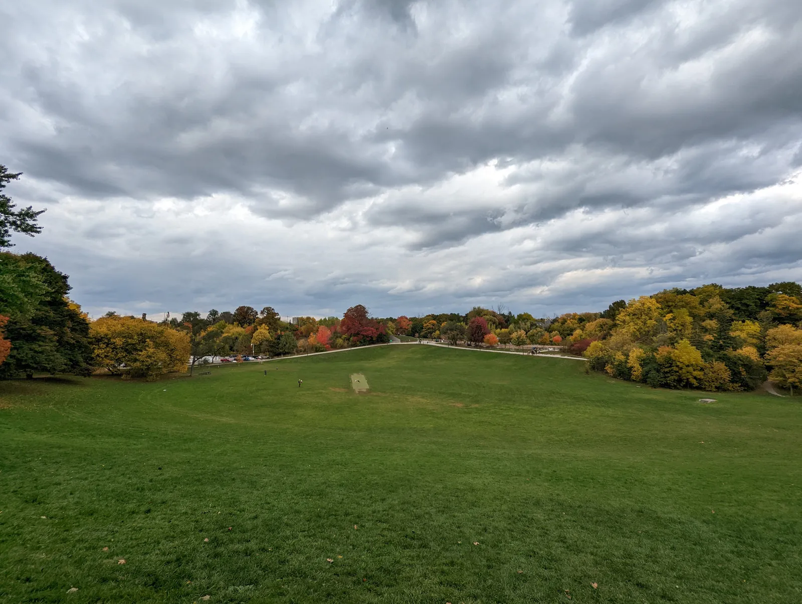 Cedarvale Park